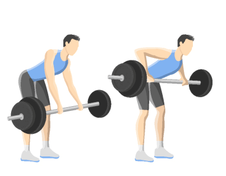 Bent over row 